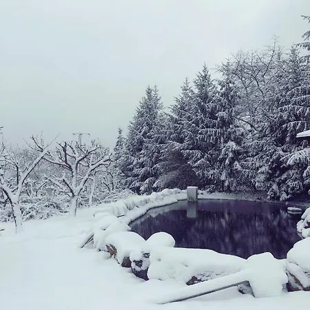 Meran *