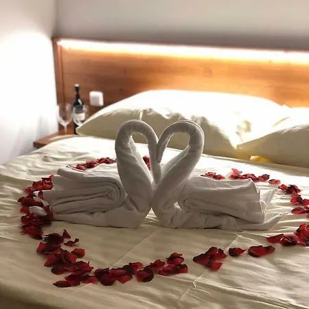 Πανσιόν Meran *