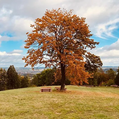 Meran Πανσιόν Moninec